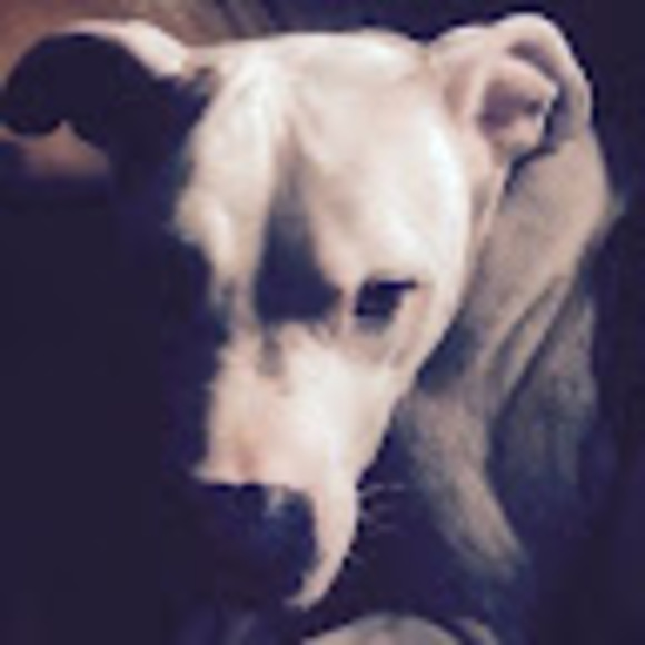 Meet your Posher, Joshua - Picture 1 of 1